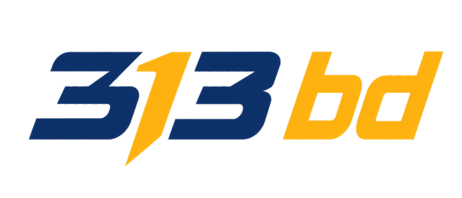 313 bd লোগো